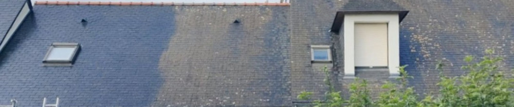 Angelo Z. (Zimmer 49)