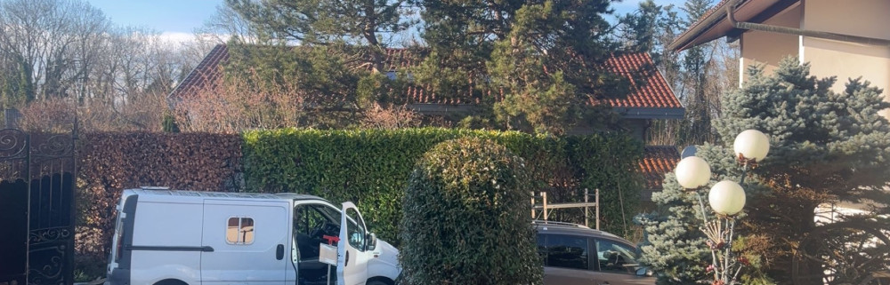 Mustafa Y. (Peintre du leman)