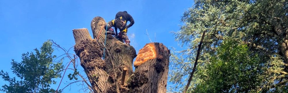 Frederic P. (FP paysages en Harmonie)