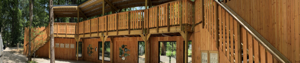 Green wood construction