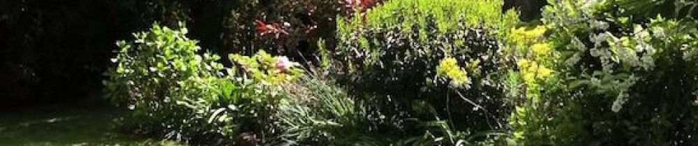 Paul J. (FlorisiaGarden)