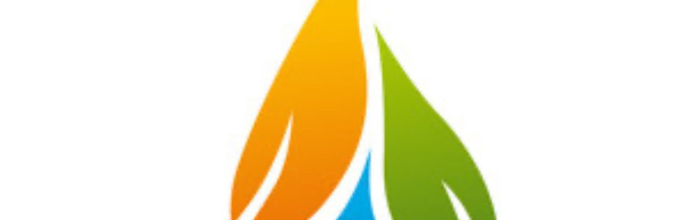 Ibrahima P. (SEN-ELEC)