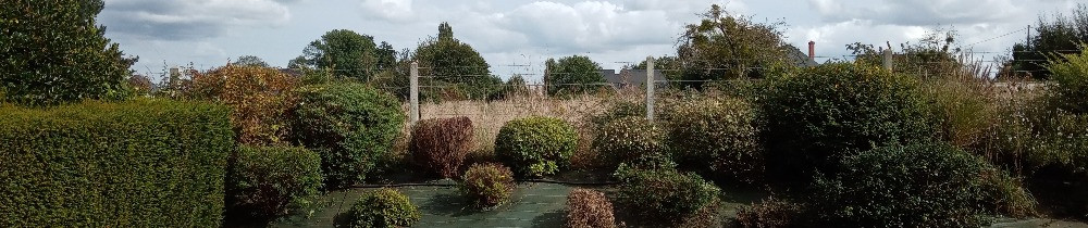 Aymeric L. (AL SERVICES)