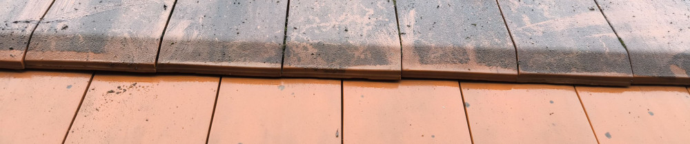 Benji W. (Renovhabitat)