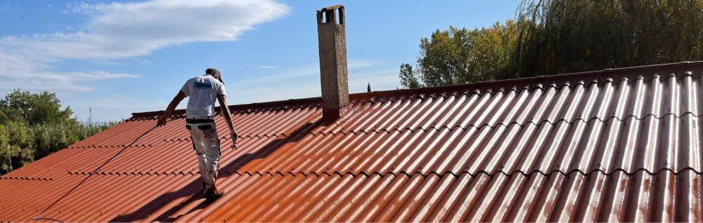 Leins B. (bardotte couverture)