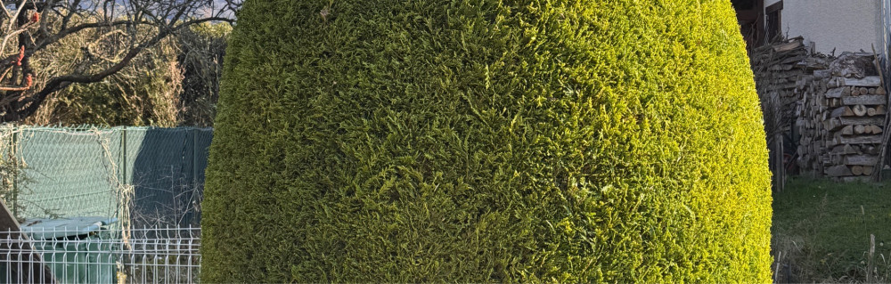 Priscilia B. (CréaNovo)