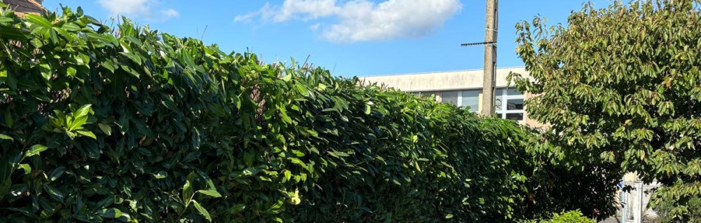 Giovannie B. (entreprise GB)