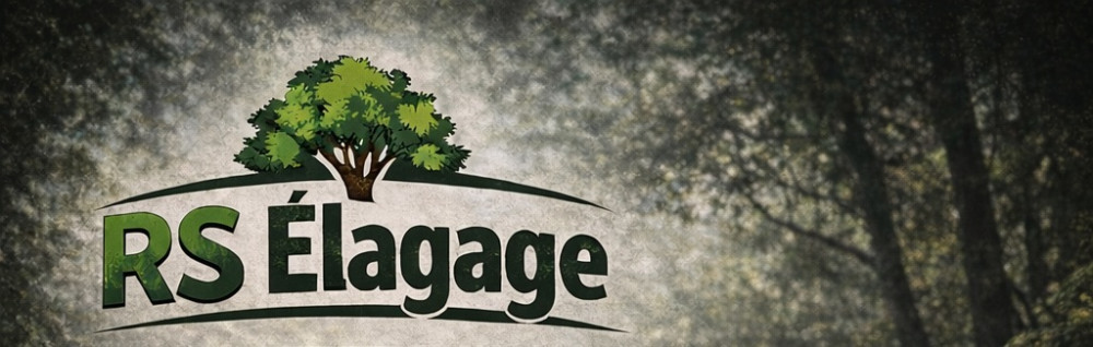 Rs É. (Rs élagage)