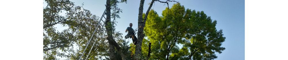 Nicolas P. (Pcn services)