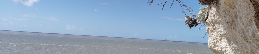 Claudine M. (Claudine Moreau services ...