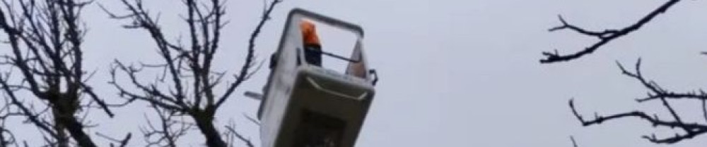 Élagage Abattage Des Côtes D Armor R. ...