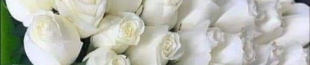 Sonia Turky T. (turki sonia)