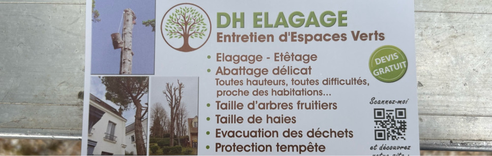 David H. (DH elagage)