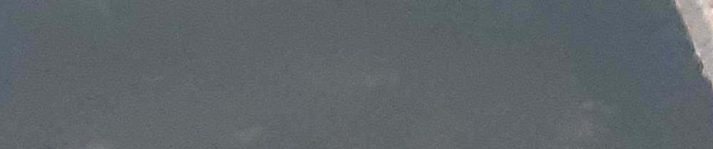 Philippe Dorschner P.