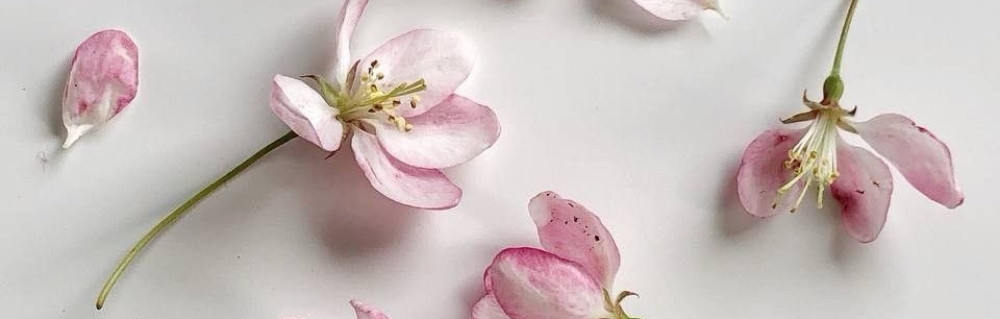 Nesrine B.