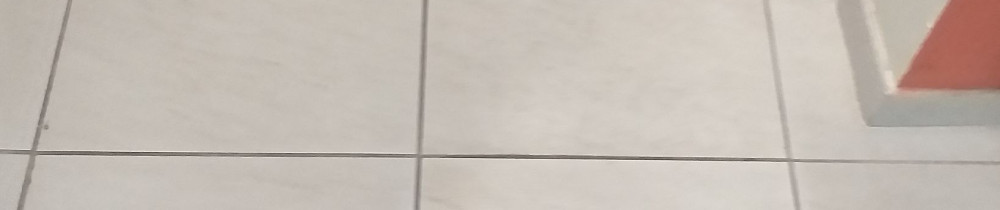 Claudia D. (BenCleanUp)