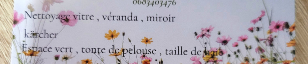 Vincent B. (G.L.M.N.O.V SERVICE)