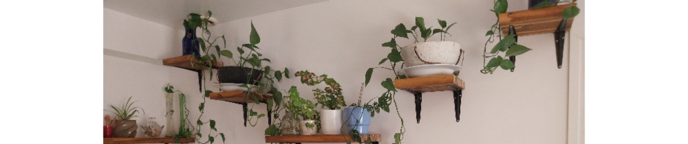 Mohamed A. (Nettoyage Des Surfaces Et ...