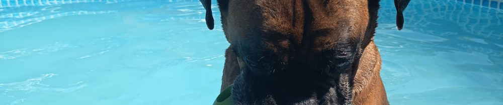 Cecile G. (Educzendog)