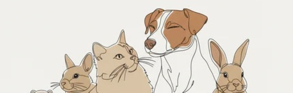 Emeline V. (Houps & Vogue)