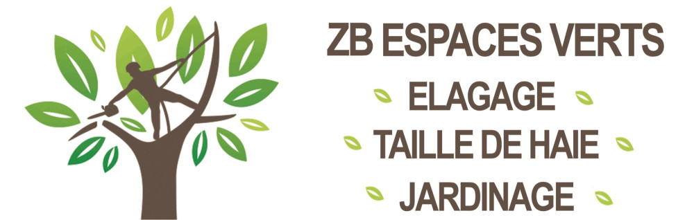 Benjamin Z. (Z.B Espace vert)