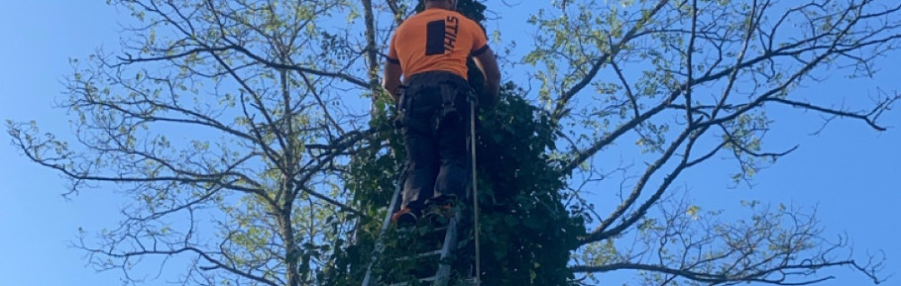 John L. (Lelaine multiservice)