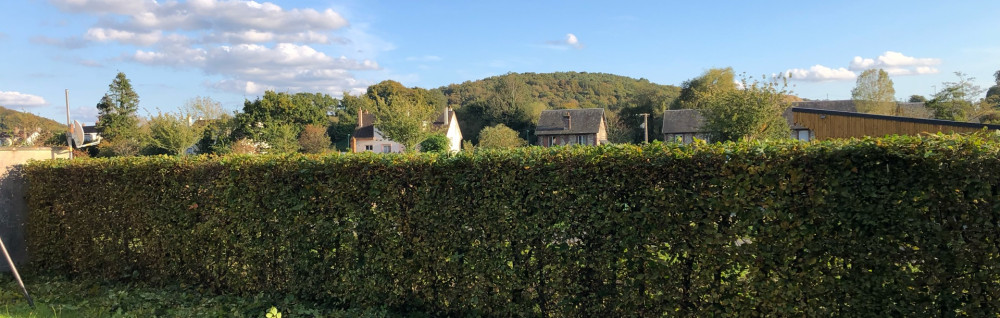 Anthony D. (Les Jardins du Beau Soleil...