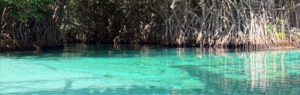 Herve R. (Ricardo plomberie rénovation...