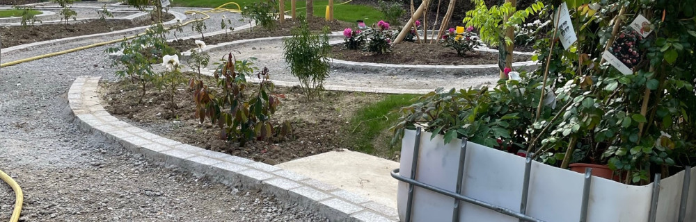 Pierre Alexandre H. (Hamelet)