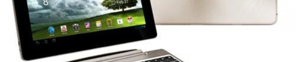 Mohammed L. (Arverinformatic)