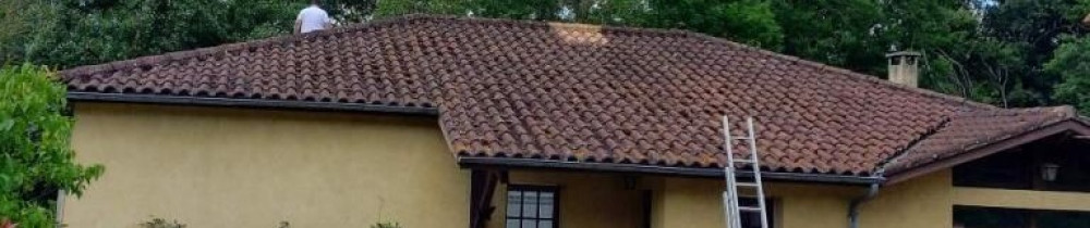 Frankie R. (Rf Multiservices)