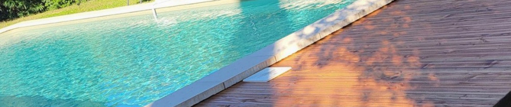 Tony D. (sosservicesplus)