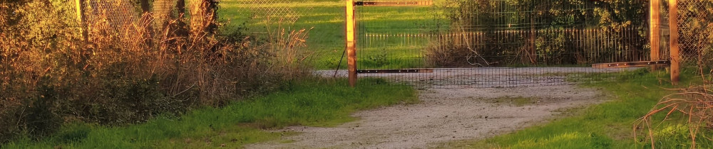 Laure D. (Animaux & Compagnie)