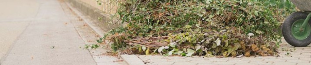 Nicolas D. (Multiservices)