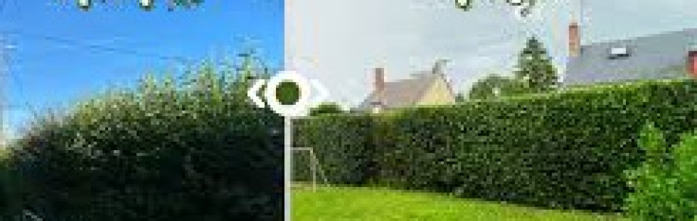 Jessy K. (paysagiste)