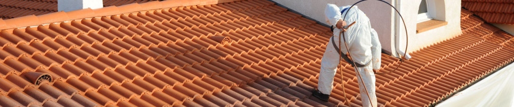 Mike G. (Mg renovation)