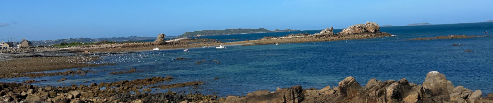 Oceane G.
