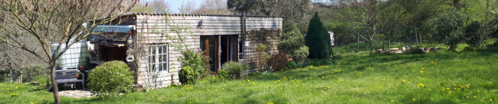 Régis G. (Entretien Jardin Conseil)