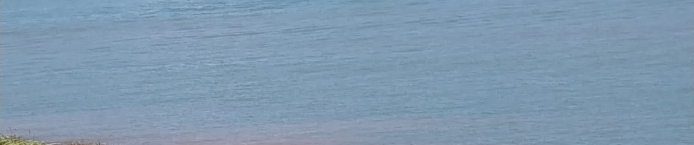 Julien A. (julien Alleaume)