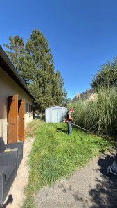 Photo de galerie - Remise en état du jardin avec tonte et débroussaillage, pour retrouver un espace propre et soigné.