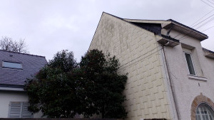 Photo de galerie - Avant traitement