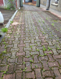 Photo de galerie - Bricolage et multi services