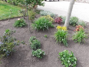 Photo de galerie - Jardinier