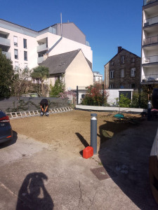 Photo de galerie - Paysagiste - Aménagement du jardin