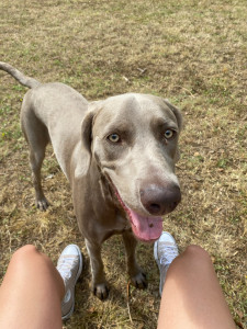 Photo de galerie - J’ai retrouvé Urion pour des promenades pendant 4 jours 