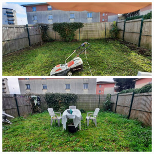 Photo de galerie - Tonte de pelouse - Débroussaillage