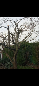 Photo de galerie - Jardinier