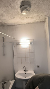 Photo de galerie - Photo AVAN moisissure 