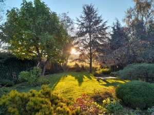 Photo de galerie - Jardin