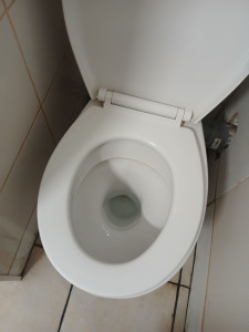 Photo de galerie - Une image des WC que j'ai nettoyé chez un prestataire 